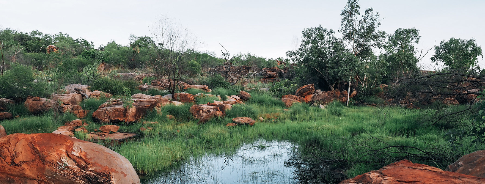 A wide landscape showing red rock outcrops surrounded by green grasses and trees, with a shallow pool of water in the foreground reflecting the vegetation. The scene feels calm and expansive, highlighting the contrast between rocky terrain and lush growth.